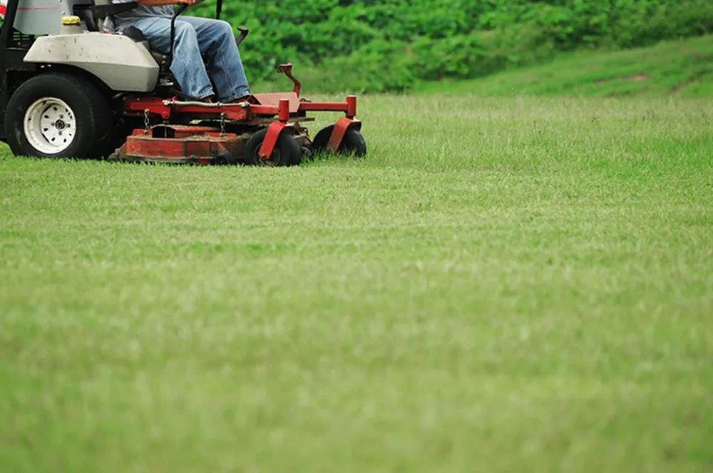 Reliable garden landscaping in Brooksville, FL by EnT Lawn and Pressure Washing Services