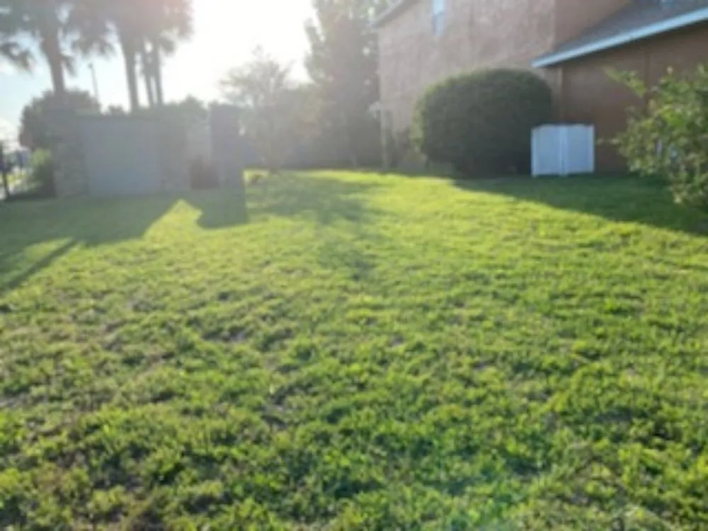 Professional lawn care service for outdoor upgrades in Brooksville, FL by EnT Lawn and Pressure Washing Services