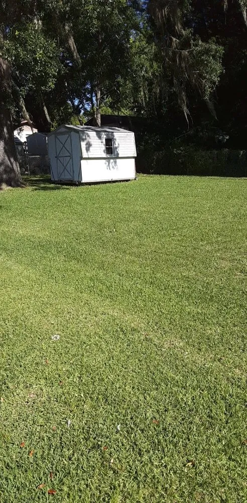 Reliable lawn care service for beautiful yards in Brooksville, FL by EnT Lawn and Pressure Washing Services
