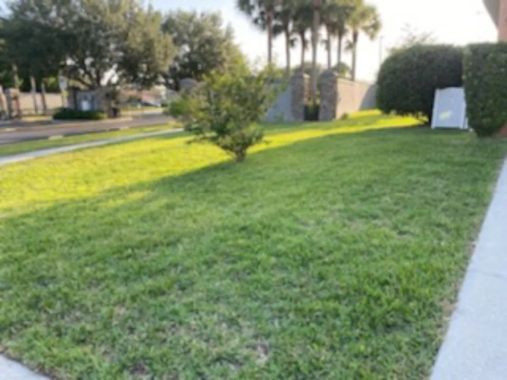 Professional landscape design in Brooksville, FL - EnT Lawn and Pressure Washing Services