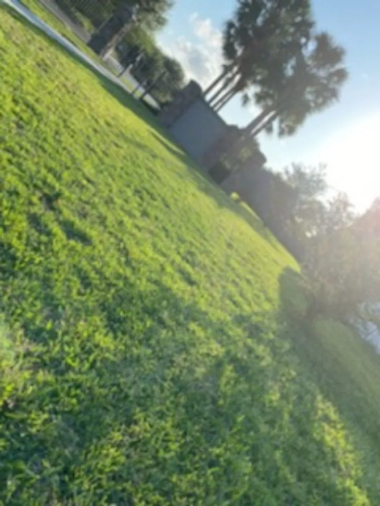 Top-rated landscape installation for year-round maintenance in Brooksville, FL by EnT Lawn and Pressure Washing Services