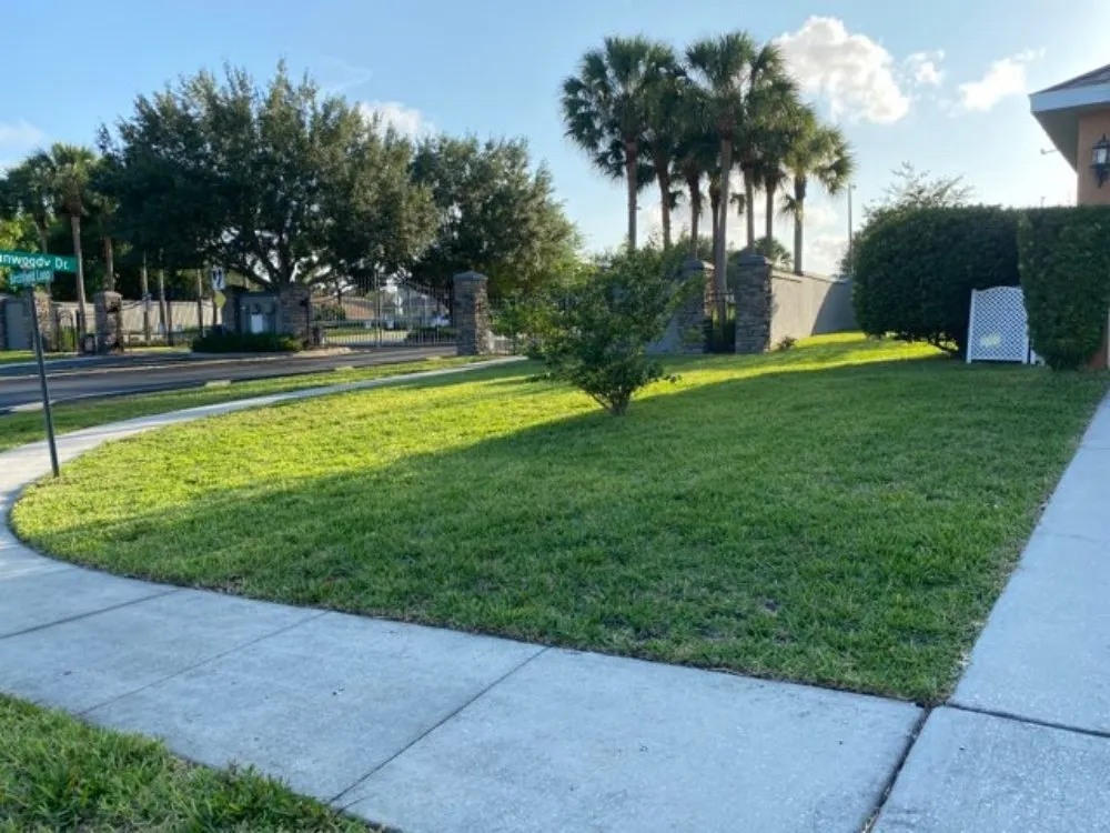 Local yard cleanup service experts serving Brooksville, FL - EnT Lawn and Pressure Washing Services