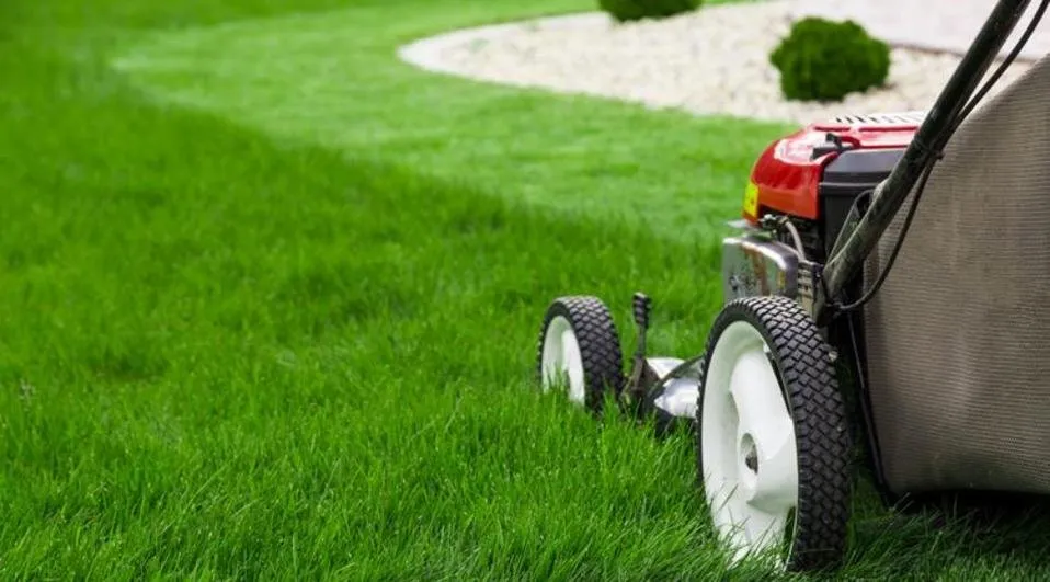 Custom yard cleanup service in Brooksville, FL by EnT Lawn and Pressure Washing Services