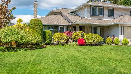 Professional yard maintenance in Brooksville, FL - EnT Lawn and Pressure Washing Services