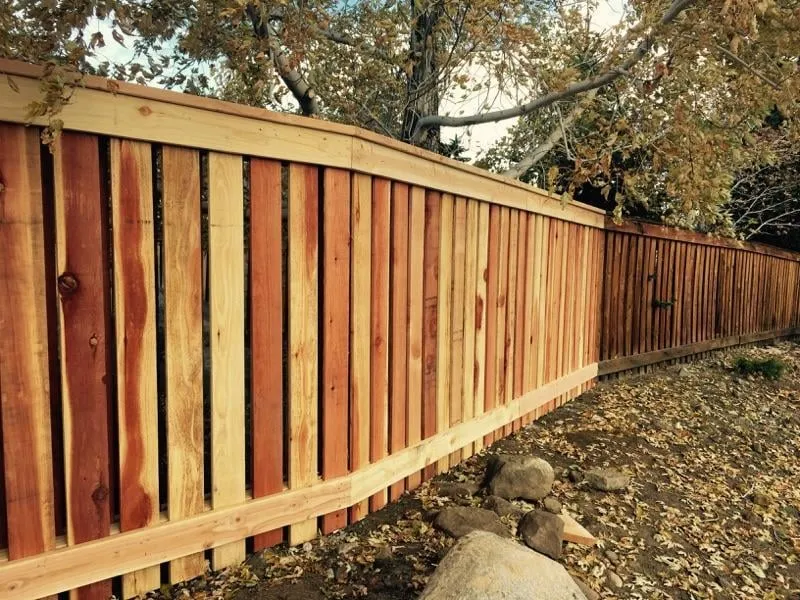 Affordable yard cleanup service in Reno, NV by Enterprise Landscaping