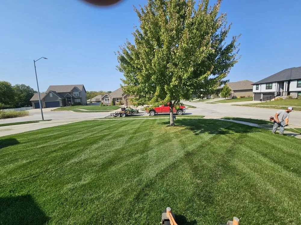 Custom yard maintenance in Odessa, MO by Enterprise Lawn Care KC