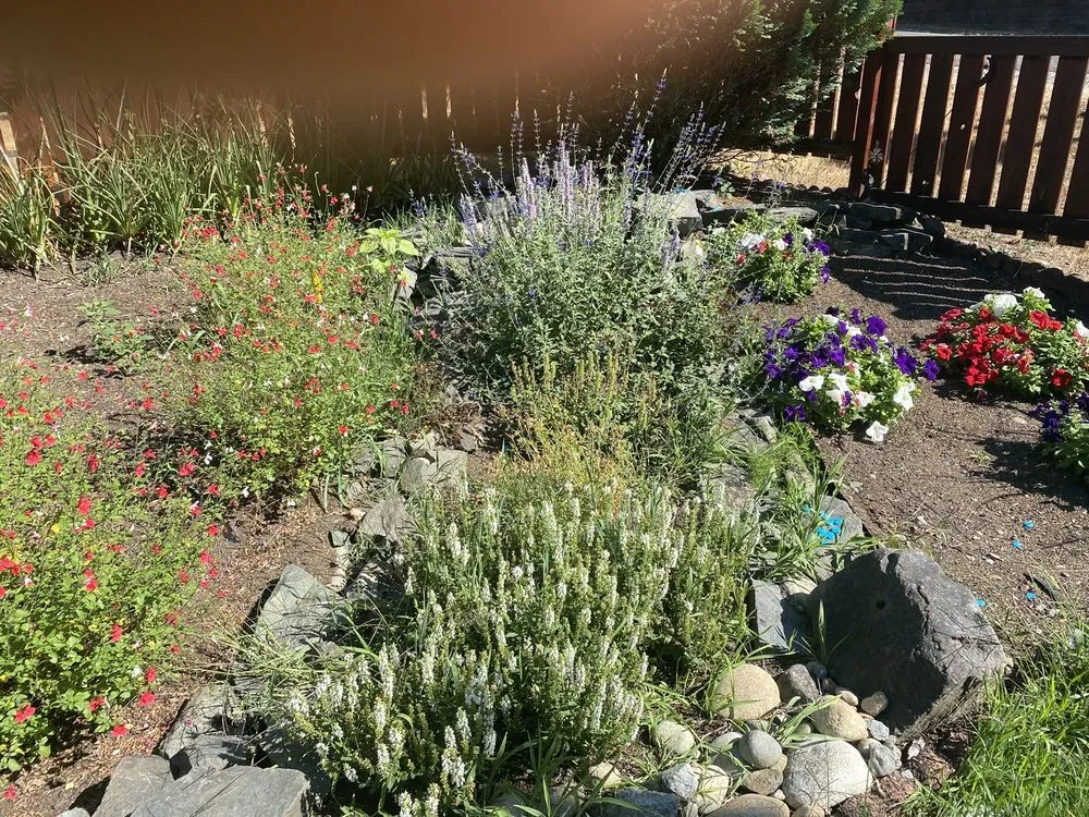 Expert outdoor landscaping in Federal Way, WA by Entire Landscaping Services