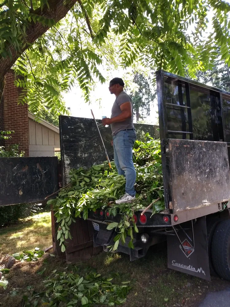 Custom yard maintenance near you across Federal Way, WA - Entire Landscaping Services