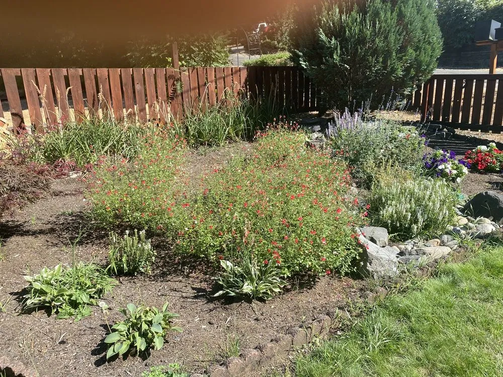 Professional lawn care service in Federal Way, WA by Entire Landscaping Services