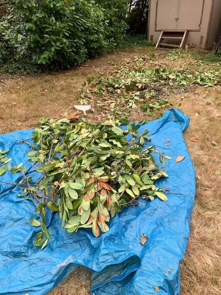 Local garden landscaping in Federal Way, WA - Entire Landscaping Services