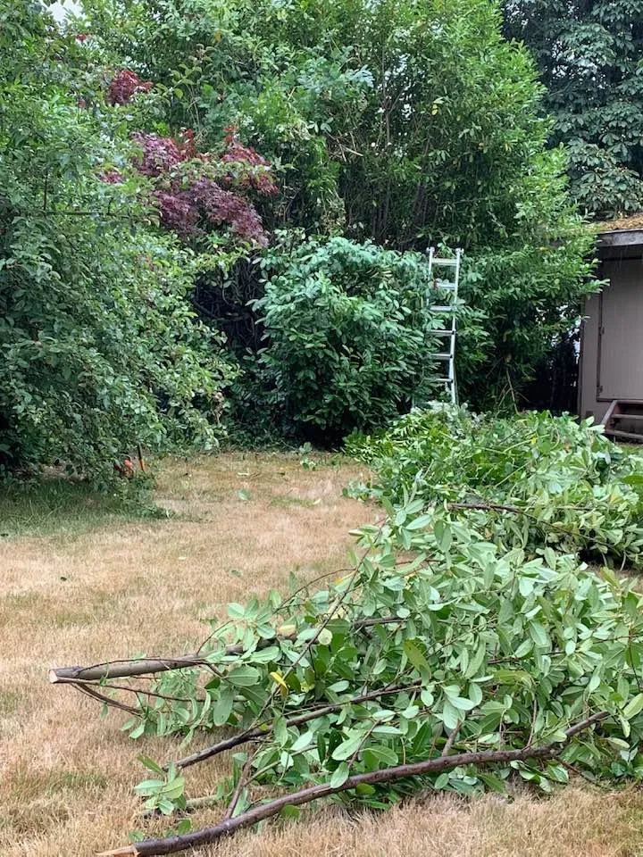 Reliable landscape design in Federal Way, WA by Entire Landscaping Services