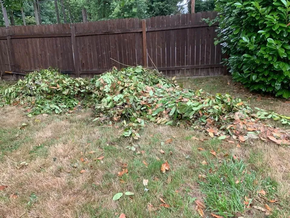 Affordable garden landscaping in Federal Way, WA by Entire Landscaping Services