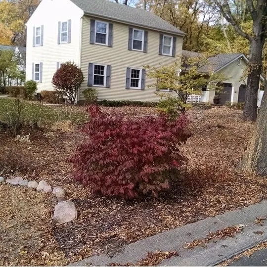 Expert yard maintenance experts serving Sarasota, FL - Entrusted Landscapes