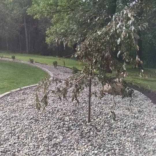 Top-rated yard maintenance experts serving Sarasota, FL - Entrusted Landscapes