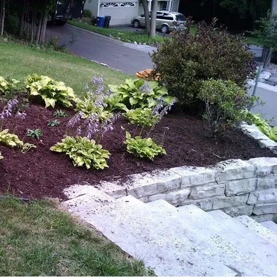 Trusted landscape installation in Sarasota, FL - Entrusted Landscapes