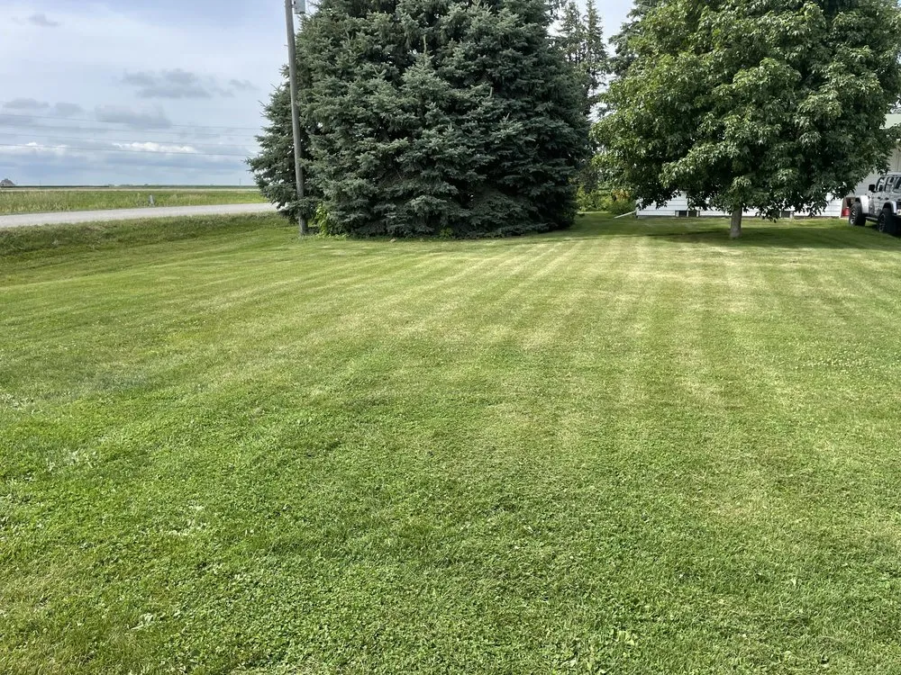 Top-rated outdoor landscaping in Washington, IA by Entsminger Lawn Care Services