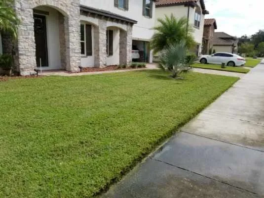 Affordable lawn care service in Orlando, FL by Enuff Goods