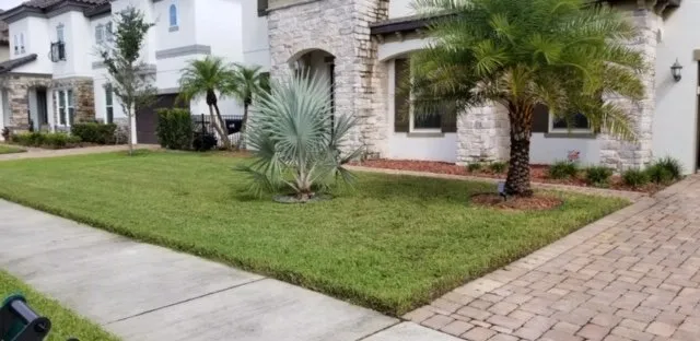 Trusted lawn care service in Orlando, FL - Enuff Goods