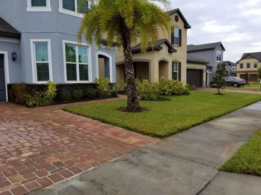 Top-rated yard cleanup service for outdoor upgrades in Orlando, FL by Enuff Goods