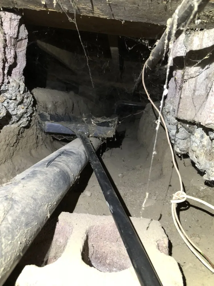 Reliable yard cleanup service near you across Meridian, ID - Envi Pest & Lawn