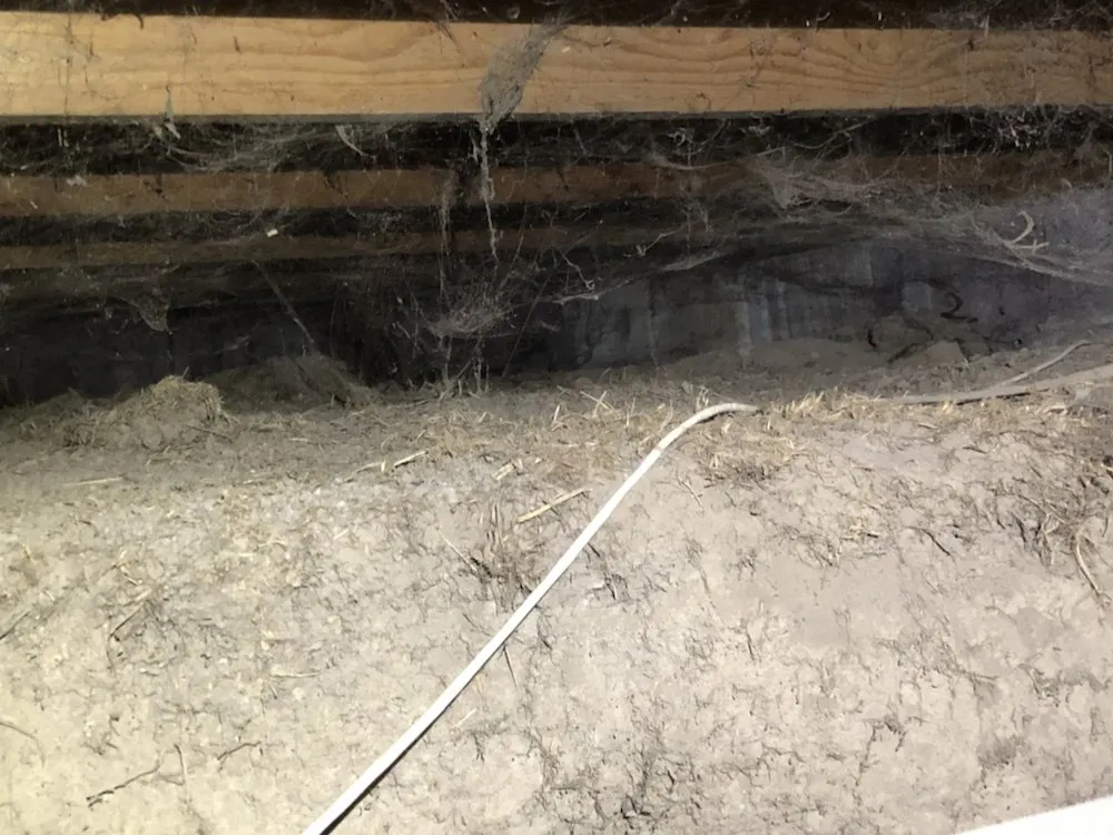 Professional outdoor landscaping experts serving Meridian, ID - Envi Pest & Lawn