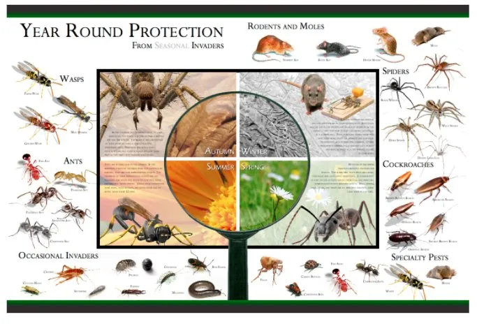 Professional lawn care service in Meridian, ID - Envi Pest & Lawn