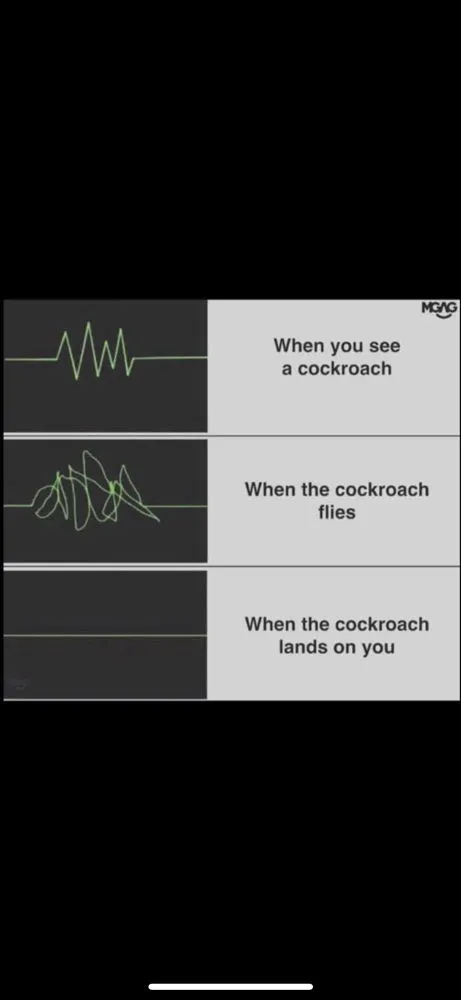 Top-rated landscape installation experts serving Meridian, ID - Envi Pest & Lawn