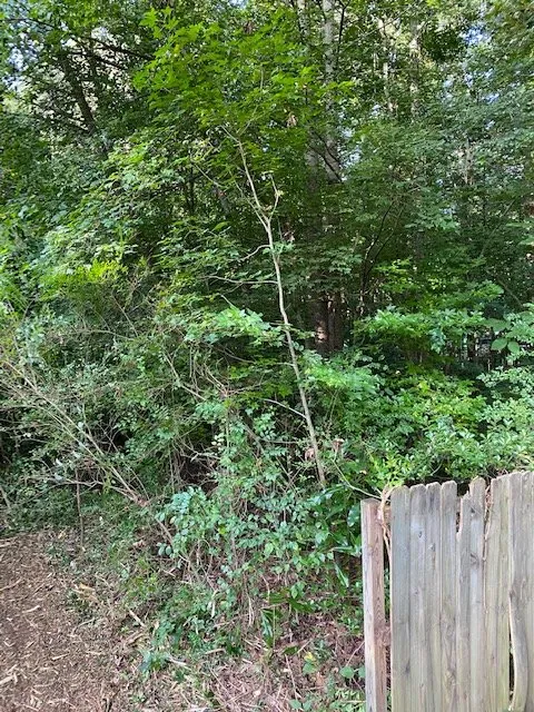 Trusted outdoor landscaping in Abbeville, GA - Enviro-Forest Management