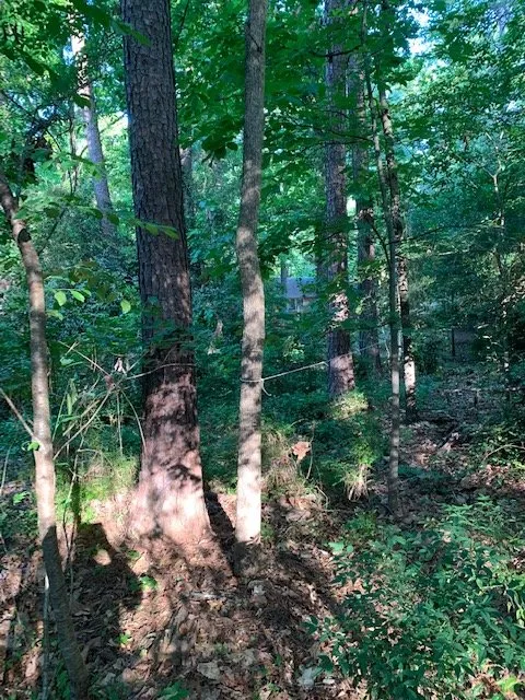 Local landscape design experts serving Abbeville, GA - Enviro-Forest Management