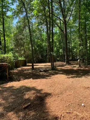 Enviro-Forest Management