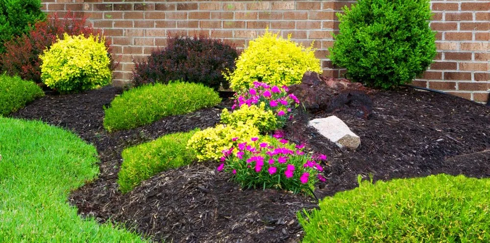 Top-rated outdoor landscaping experts serving Wood Dale, IL - Enviro Lawn Services