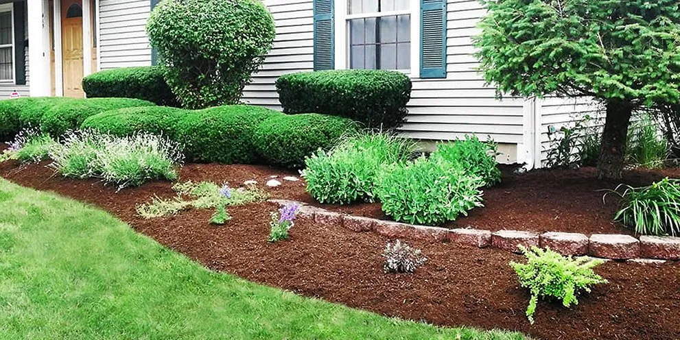 Expert yard maintenance experts serving Wood Dale, IL - Enviro Lawn Services