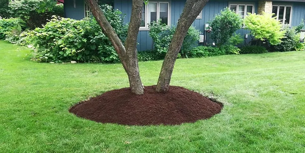 Top-rated lawn care service experts serving Wood Dale, IL - Enviro Lawn Services