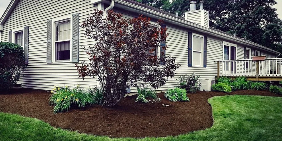 Custom outdoor landscaping experts serving Wood Dale, IL - Enviro Lawn Services