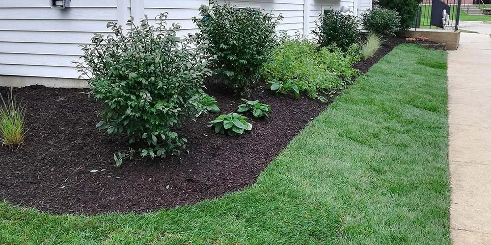 Trusted landscape design experts serving Wood Dale, IL - Enviro Lawn Services