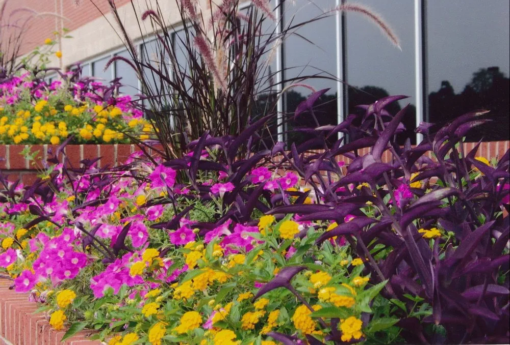 Affordable yard cleanup service in Nashville, TN by Enviro-Scapes Landscaping