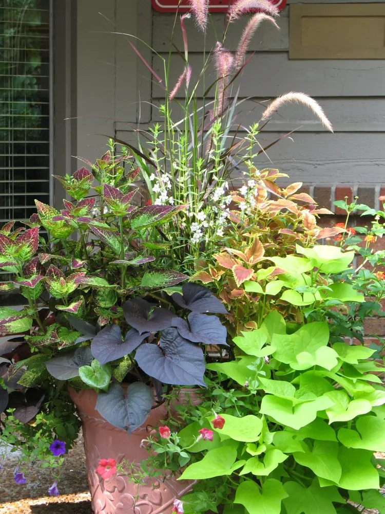 Affordable residential landscaping in Nashville, TN - Enviro-Scapes Landscaping