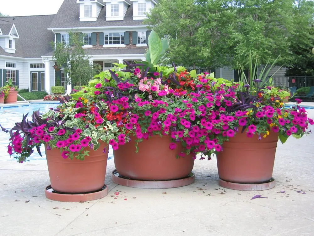 Top-rated yard maintenance for outdoor upgrades across Nashville, TN - Enviro-Scapes Landscaping