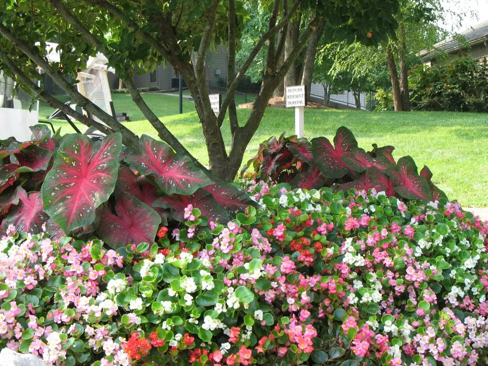 Custom lawn care service near you in Nashville, TN by Enviro-Scapes Landscaping