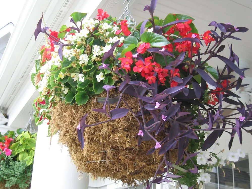 Trusted lawn care service experts serving Nashville, TN - Enviro-Scapes Landscaping