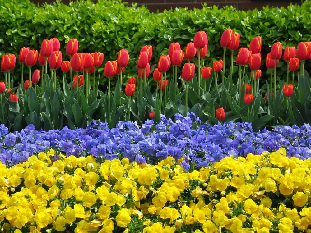 Local lawn mowing service for year-round maintenance across Nashville, TN - Enviro-Scapes Landscaping