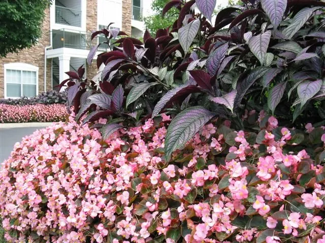 Affordable landscape design for outdoor upgrades in Nashville, TN by Enviro-Scapes Landscaping