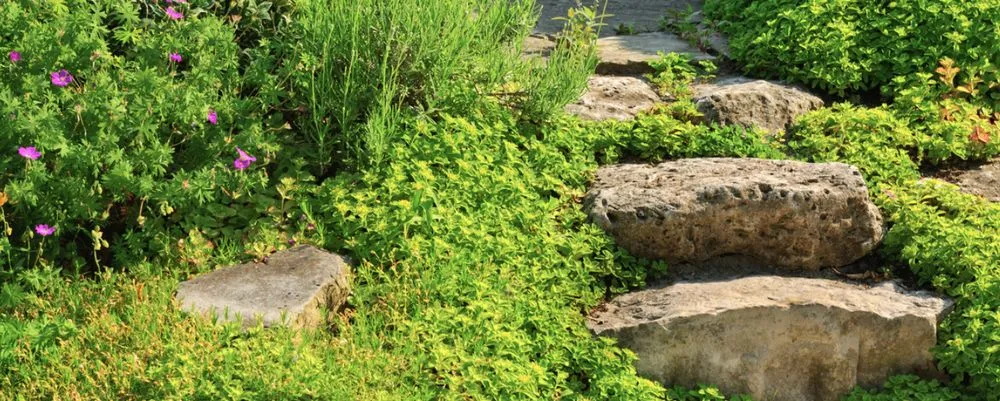 Top-rated yard cleanup service in Woodstock, GA - Enviro-Tech Landscapes