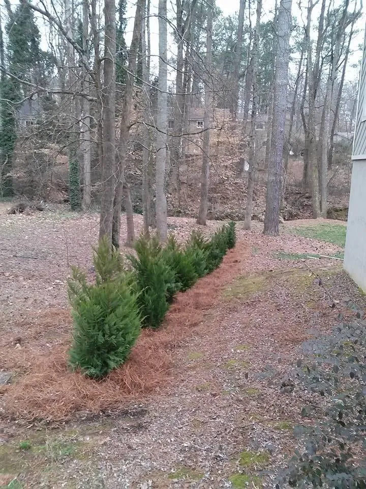 Local landscaping services experts serving Woodstock, GA - Enviro-Tech Landscapes