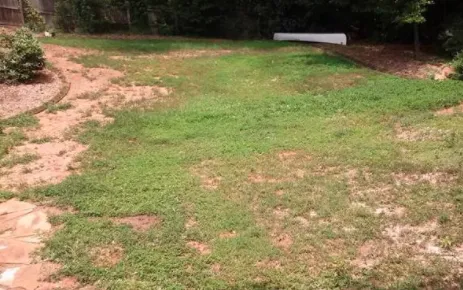 Top-rated yard maintenance in Woodstock, GA by Enviro-Tech Landscapes