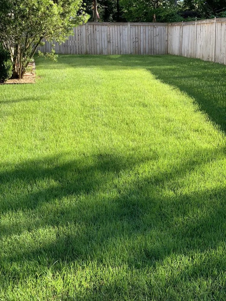 Professional yard maintenance for outdoor upgrades in Fairhope, AL by Enviro Turf Spray