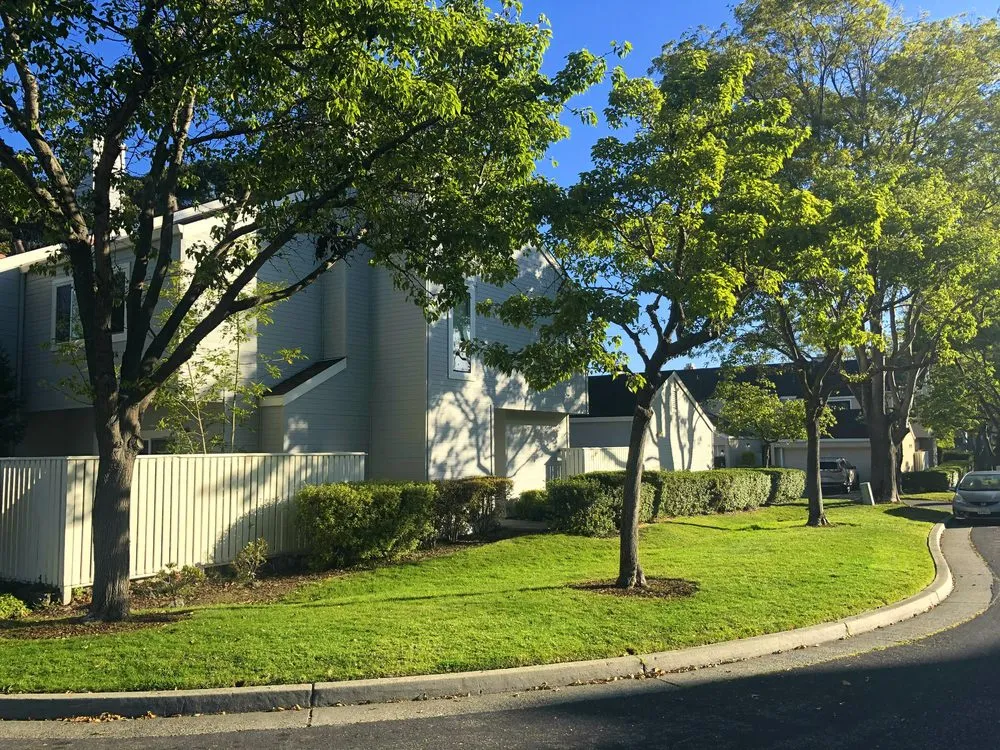 Affordable outdoor landscaping in Richmond, CA by Enviro Views