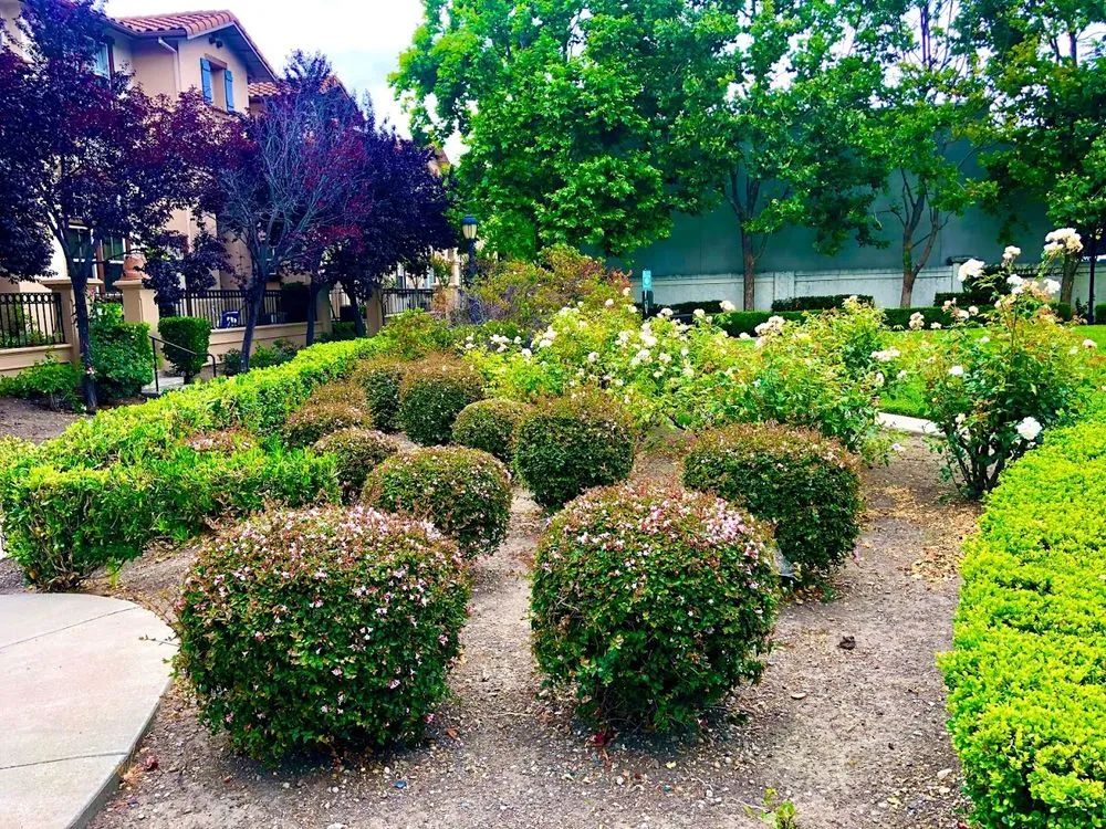 Custom outdoor landscaping experts serving Richmond, CA - Enviro Views
