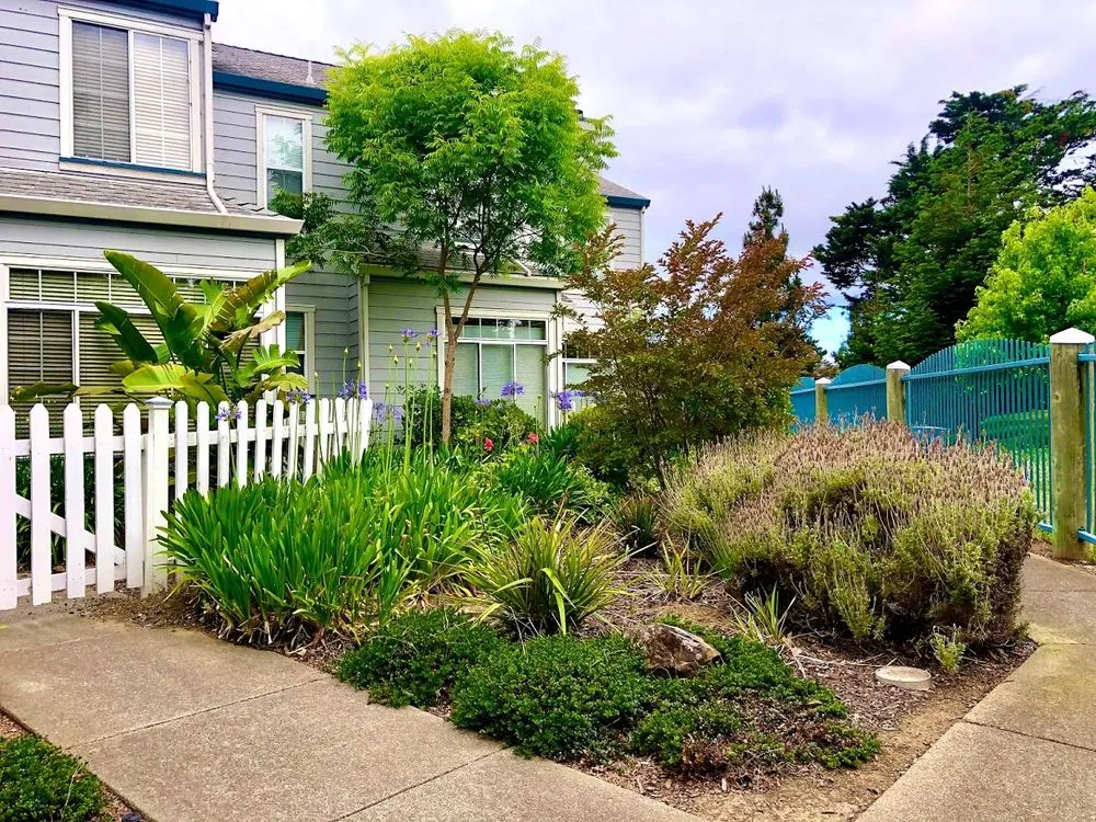 Affordable yard cleanup service in Richmond, CA by Enviro Views