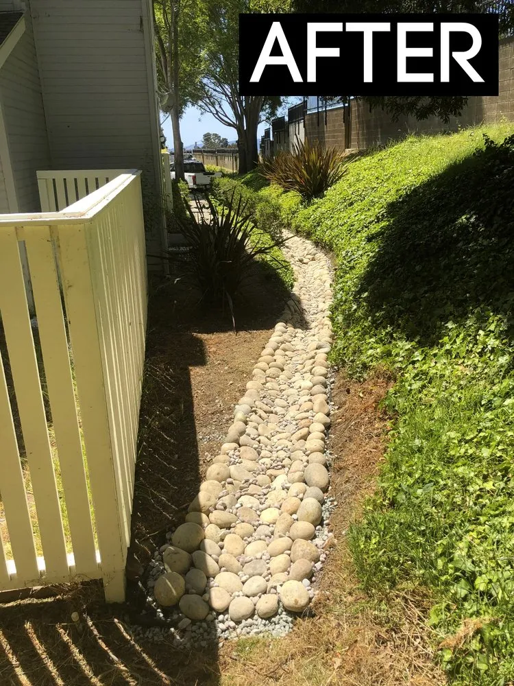 Professional yard cleanup service in Richmond, CA by Enviro Views